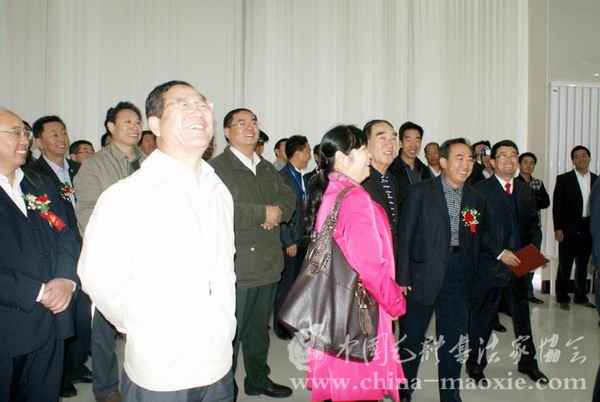 乌兰察布市、兴和县领导陪同景学勤会长、毛小青名誉会长观看书画展