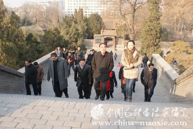中国毛体书法家协会登临丛台