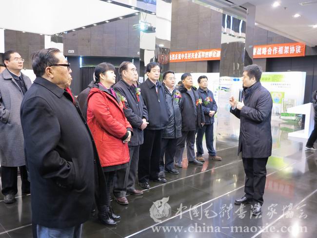 中国毛体书法家协会