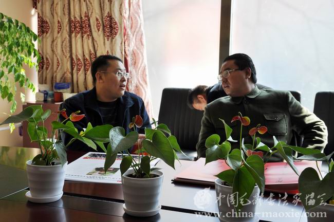 中国毛体书法家协会活动